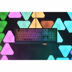 Razer Cynosa V2, Taille réelle (100 %), USB, Clavier à membrane, QWERTY, Noir