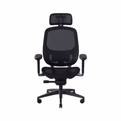 Razer Fujin Pro, Siège respirant, Dossier grillagé, Noir, Noir, Mesh, Mesh
