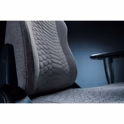 Razer Iskur V2 X Siège de jeu sur PC Gris - Vue supplémentaire 4