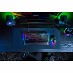 Razer BlackWidow V4 clavier USB QWERTY Allemand Noir