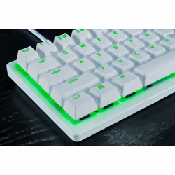 Razer RZ03-04970100-R3M1 clavier Jouer USB QWERTY Blanc