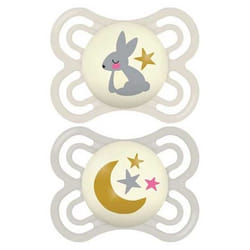 MAM 2 Sucettes Perfect Nuit 2-6 Mois - Modèle : Ours et Dinosaure