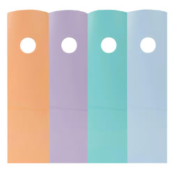 Exacompta 18296SETD porte-magazines Polystyrène Corail, Bleu clair, Vert clair, Mauve