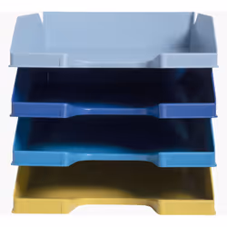 Exacompta 113202SETD, Plastique, Couleurs assorties, A4+, 500 feuilles, Autriche, 254 mm