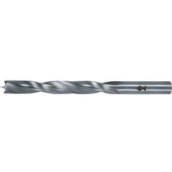 Mèche a bois hss r Profi 14x 70/110mm S10mm Fisch