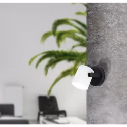 EGLO HORNWOOD 1 wall light Noir, Blanc Adapté à une utilisation à l'intérieur E27 28 W
