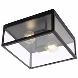 EGLO Charterhouse éclairage de plafond Noir, Transparent E27