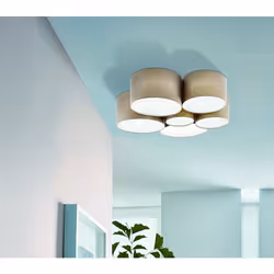 EGLO PASTORE 1 éclairage de plafond Taupe, Blanc E27