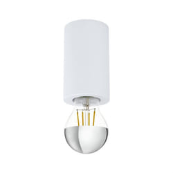 EGLO Saluzzo éclairage de plafond Blanc E27