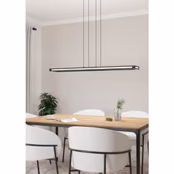 EGLO Salvilanas-Z éclairage de plafond Noir, Blanc LED E