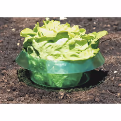 Windhager 02435 film de protection des plantes Vert