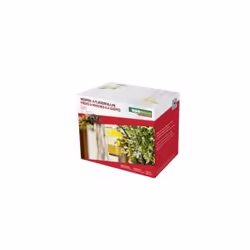 Windhager PIÈGES À GUÊPES & À MOUCHES DUO, Transparent, Jaune, 90 mm, 90 mm, 130 mm, Boîte