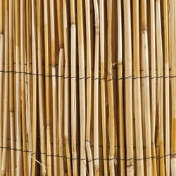 Canisse roseau naturel WINDHAGER 1x5m