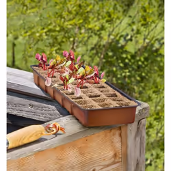Windhager 06841 pot à fleurs Intérieure Jardinière Autonome Plastique Terre cuite
