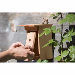 Windhager 06925 abri pour oiseau Support