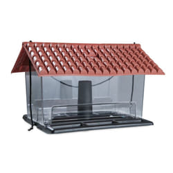 Windhager 06937 mangeoire pour oiseau Marron, Transparent Plastique Support