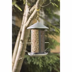 Windhager 06999 mangeoire pour oiseau Noir, Argent Chrome, Métal Support