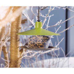 Windhager 07068 mangeoire pour oiseau Marron, Vert, Transparent Plastique Support