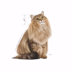 Royal Canin 9003579000366 nourriture humide pour chats 85 g