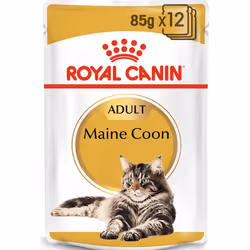 Royal Canin 9003579001202, Adulte, Maine coon, Palourde (nourriture), 85 g