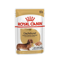 Royal Canin Dachshund Adult 12x85g Légumes Adulte 85 g