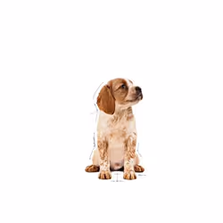 Beko WUE 8726 XST 8 kg 1400 tr/min Blanc