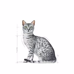 Royal Canin Indoor Sterilized 85 g