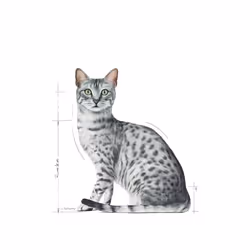 Royal Canin Indoor Sterilized 85 g
