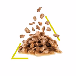 Royal Canin SENSORY SMELL 85 g