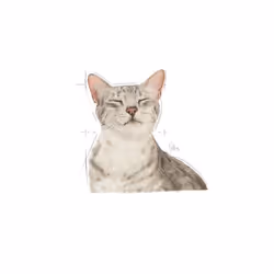 Royal Canin SENSORY FEEL 85 g