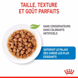 Royal Canin Labrador Retriever Adulte - Vue supplémentaire 3