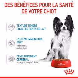 Royal Canin Labrador Retriever Adulte - Vue supplémentaire 4