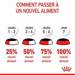 Royal Canin Labrador Retriever Adulte - Vue supplémentaire 6