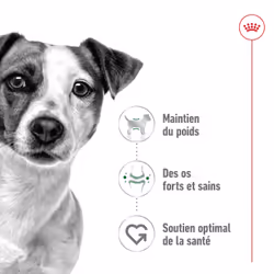 Royal Canin Labrador Retriever Adulte - Vue supplémentaire 4