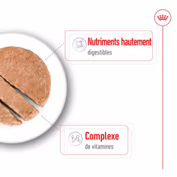 Royal Canin Labrador Retriever Adulte - Vue supplémentaire 5