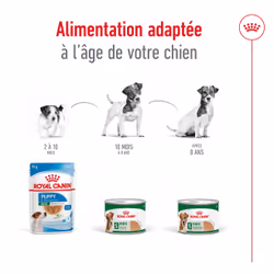 Royal Canin Labrador Retriever Adulte - Vue supplémentaire 6