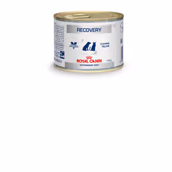 Royal Canin Recovery Adulte 195 g