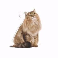 Royal Canin Ultra Light Gravy 85 g