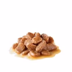 Royal Canin Ageing 12+ 85 g