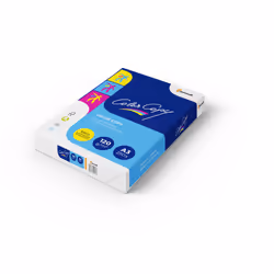 Mondi EA48 papier jet d'encre A3 (297x420 mm) 250 feuilles