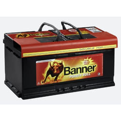 Banner Power Bull P9533 batterie de véhicule 12 V