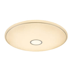 GLOBO Connor éclairage de plafond Blanc LED F