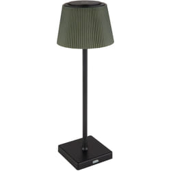 Lampe de table lampe de table lampe d'extérieur noir vert variateur tactile lampe de jardin batterie led