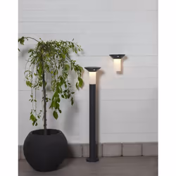 EGLO Corbezzola Éclairage mural extérieur LED 0,03 W Graphite, Blanc