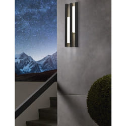 EGLO Fandina Éclairage mural extérieur Ampoule(s) non remplaçable(s) LED 4,2 W Noir E