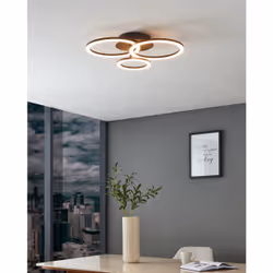 EGLO PARRAPOS-Z éclairage de plafond Noir, Blanc LED E