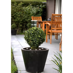 EGLO Spinetoli 2 Éclairage de plancher extérieur LED 0,4 W Noir, Transparent G