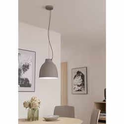 EGLO Pendelleuchte Camasca 1xE27 Taupe éclairage de plafond E27 40 W
