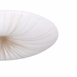 EGLO Nieves 1 éclairage de plafond Or, Blanc LED F