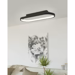 EGLO Codriales éclairage de plafond Noir, Blanc LED D